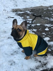 Aramis apģērbs suņiem. Ziemas suņu kombinezons-mētelis ar atstarotājiem, L